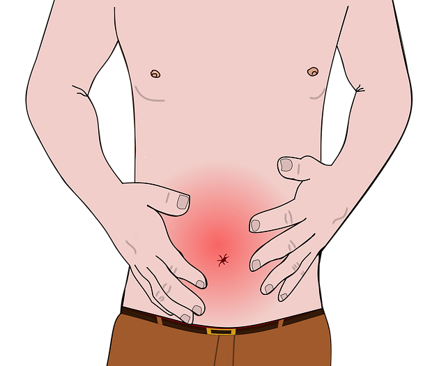 루푸스 신염 마이코페놀레이트 모페틸 림프구 선택 억제로 사구체 손상 막는 핵심 원리